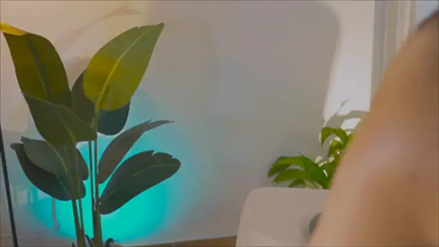 Snapshot of anabelcurvy chatting on 6, 2, 2025 anabelcurvy online show from 6, 2, 2025