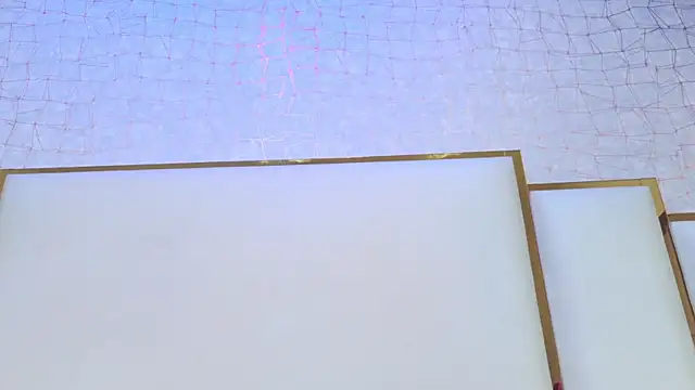 paola rodriguez online show from 28, 7, 2026