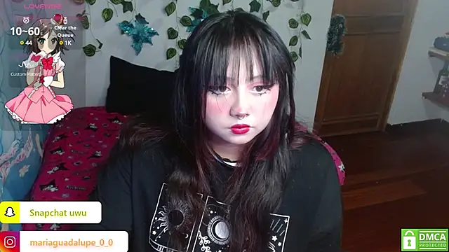 litlle cat online show from 14, 1, 2025