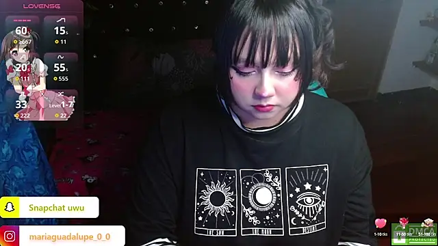 litlle cat online show from 23, 9, 2025