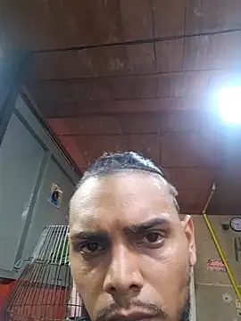 apolodiosgriego online show from 27, 6, 2026