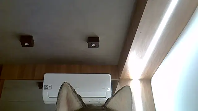 Snapshot of Skinny-Kitten chatting on 20, 9, 2025 Skinny-Kitten online show from 20, 9, 2025