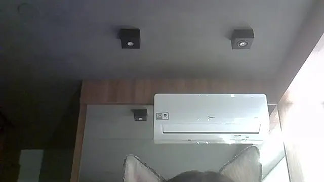 Snapshot of Skinny-Kitten chatting on 4, 10, 2025 Skinny-Kitten online show from 4, 10, 2025