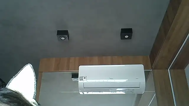 Snapshot of Skinny-Kitten chatting on 9, 10, 2025 Skinny-Kitten online show from 9, 10, 2025