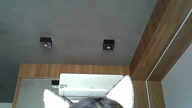 Snapshot of Skinny-Kitten chatting on 12, 10, 2025 Skinny-Kitten online show from 12, 10, 2025