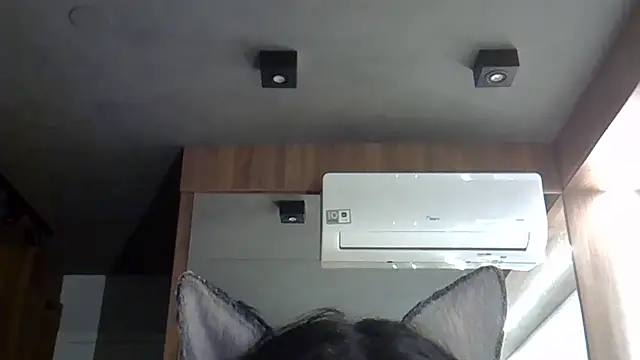 Snapshot of Skinny-Kitten chatting on 20, 10, 2025 Skinny-Kitten online show from 20, 10, 2025