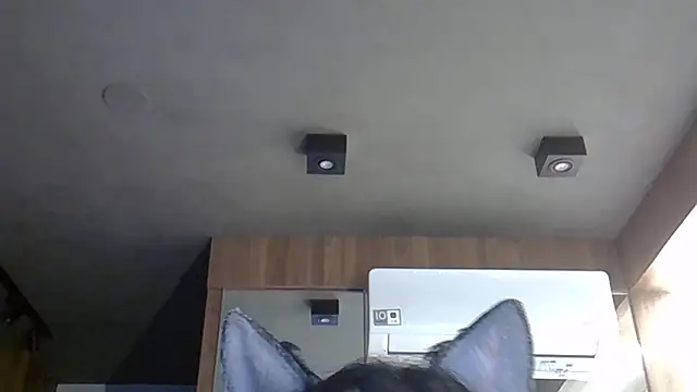 Snapshot of Skinny-Kitten chatting on 31, 10, 2025 Skinny-Kitten online show from 31, 10, 2025