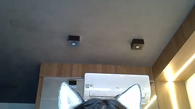 Snapshot of Skinny-Kitten chatting on 1, 11, 2025 Skinny-Kitten online show from 1, 11, 2025