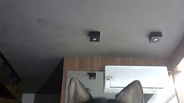 Snapshot of Skinny-Kitten chatting on 5, 11, 2025 Skinny-Kitten online show from 5, 11, 2025