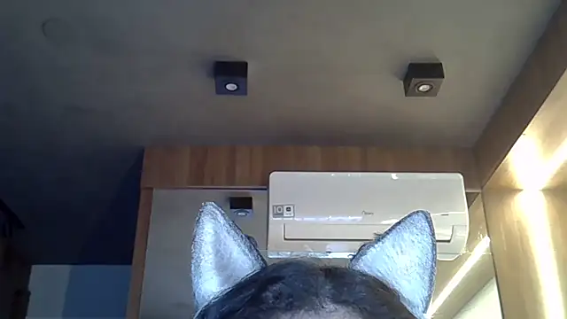 Snapshot of Skinny-Kitten chatting on 10, 11, 2025 Skinny-Kitten online show from 10, 11, 2025