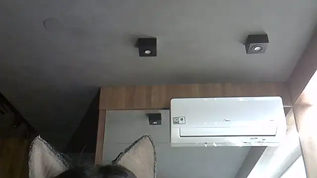 Snapshot of Skinny-Kitten chatting on 13, 11, 2025 Skinny-Kitten online show from 13, 11, 2025