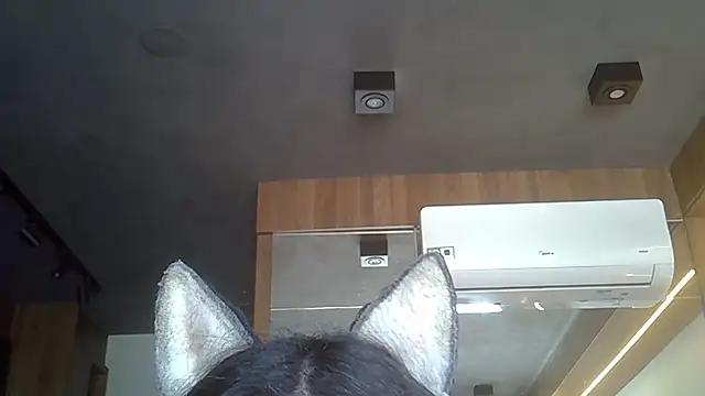 Snapshot of Skinny-Kitten chatting on 19, 11, 2025 Skinny-Kitten online show from 19, 11, 2025