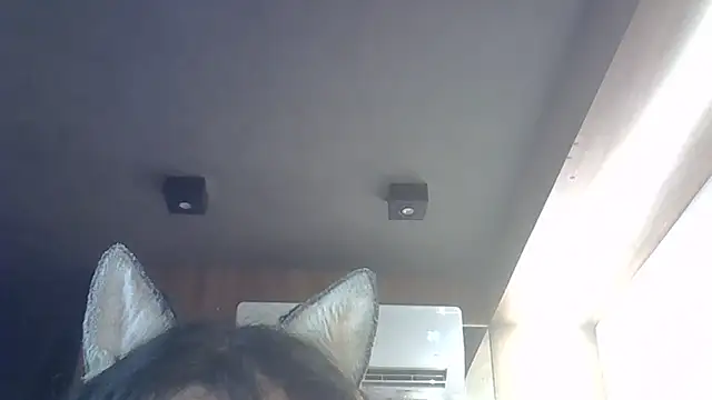 Skinny-Kitten online show from 20, 12, 2025