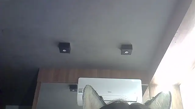 Skinny-Kitten online show from 22, 2, 2026