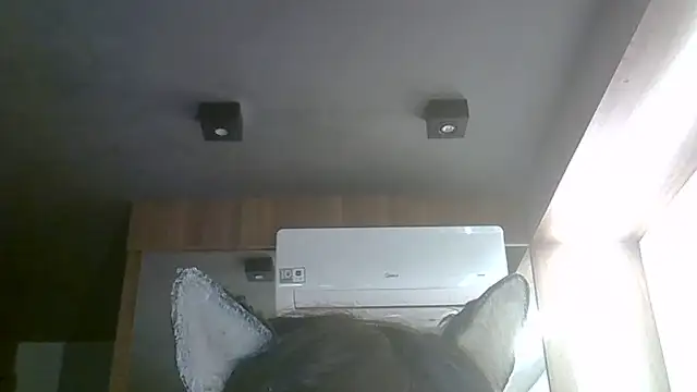 Snapshot of Skinny-Kitten chatting on 1, 6, 2026 Skinny-Kitten online show from 1, 6, 2026