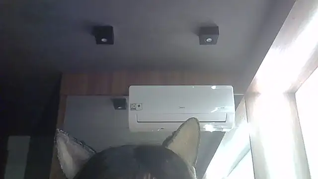 Snapshot of Skinny-Kitten chatting on 2, 6, 2026 Skinny-Kitten online show from 2, 6, 2026