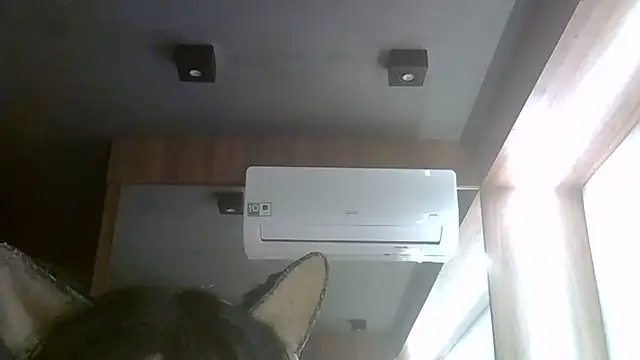 Skinny-Kitten online show from 24, 7, 2026