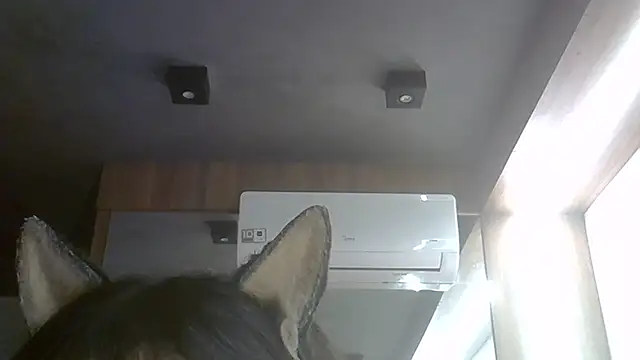 Skinny-Kitten online show from 28, 7, 2026
