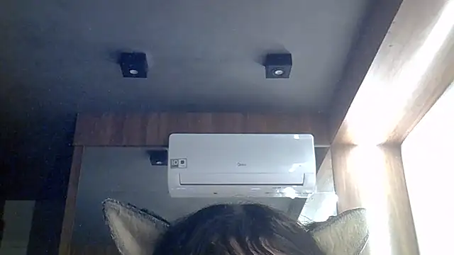 Skinny-Kitten online show from 28, 7, 2026