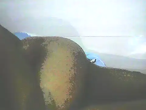 Stormward online show from 12, 1, 2025