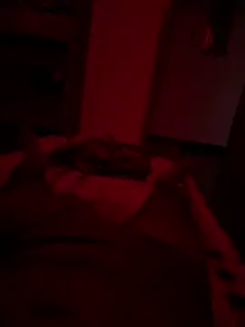 Sachin143000 online show from 11, 4, 2026