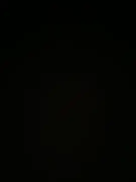 la chiennete online show from 4, 10, 2025