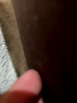 la chiennete online show from 18, 11, 2025