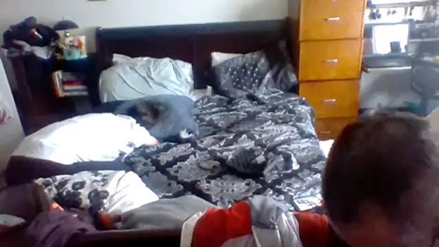 Snapshot of ThickStickly1 chatting on 14, 4, 2026 ThickStickly1 online show from 14, 4, 2026