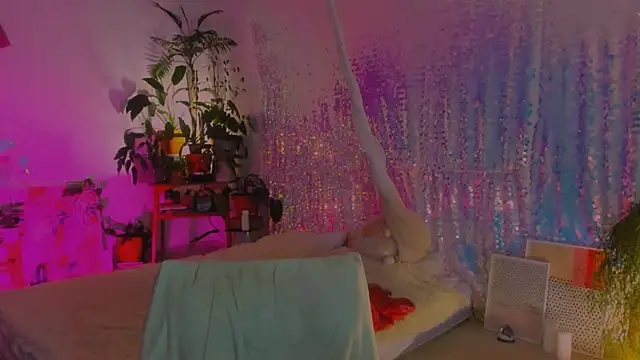 poli   online show from 17, 12, 2024