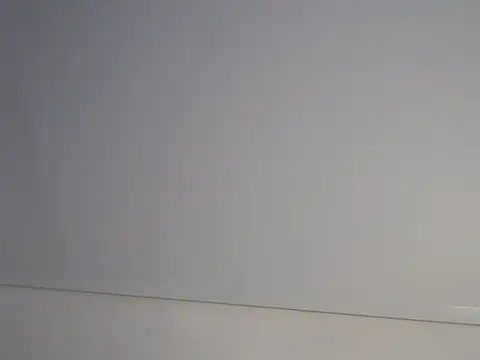 transgenderboy online show from 25, 5, 2026