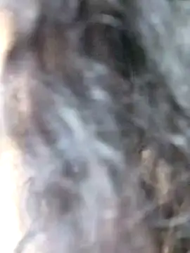 Doll Nepali online show from 29, 12, 2024