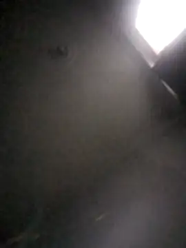 kevin613603 online show from 1, 2, 2026