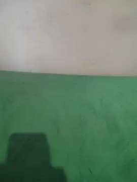  Scorpion  online show from 11, 2, 2025