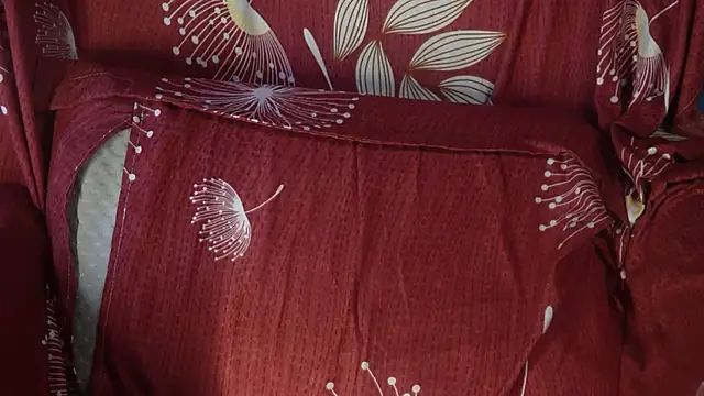 -AyeshaSinghania- online show from 16, 10, 2025