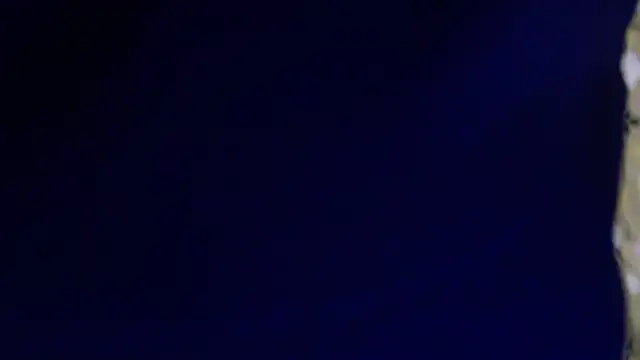 -AyeshaSinghania- online show from 13, 2, 2026