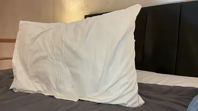  liatris  online show from 1, 3, 2025