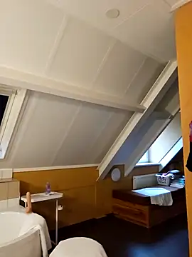 Snapshot of MarleneBloem chatting on 31, 12, 2024 MarleneBloem online show from 31, 12, 2024