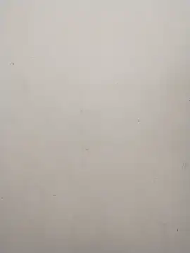 Shuttii 25 online show from 21, 12, 2024