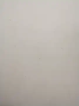 Shuttii 25 online show from 31, 1, 2025