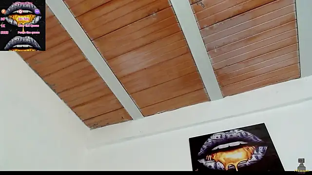 drake brwon 23 online show from 19, 2, 2025