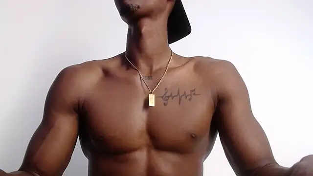 drake brwon 23 online show from 5, 11, 2025