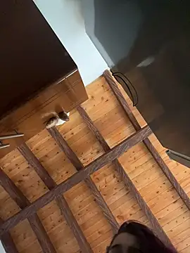 Snapshot of Alicia_Ruiz chatting on 12, 12, 2024 Alicia Ruiz online show from 12, 12, 2024