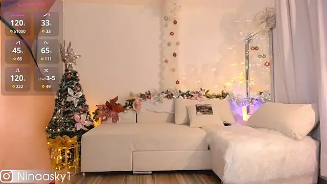 ninaa sky online show from 30, 12, 2024