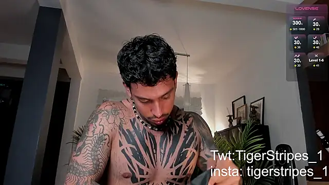 TigerStripes1  online show from 28, 2, 2025