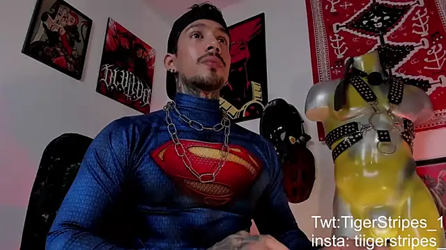 TigerStripes1  online show from 21, 3, 2026