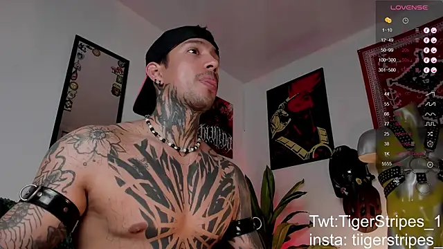 TigerStripes1  online show from 24, 3, 2026