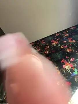 Bella-Tight online show from 18, 4, 2026